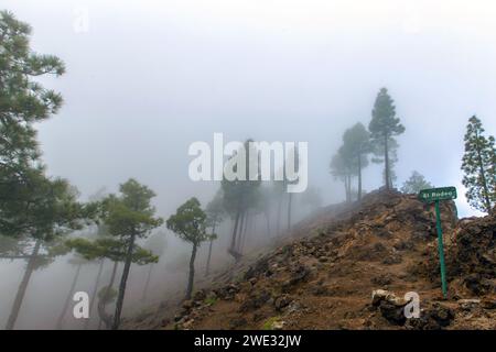 Pico Bejenado come confine meridionale della Caldera de Taburiente sull'isola di la Palma (Canarie, Spagna) Foto Stock