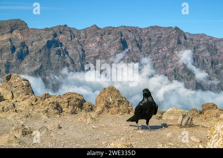 Pico Bejenado come confine meridionale della Caldera de Taburiente sull'isola di la Palma (Canarie, Spagna) Foto Stock