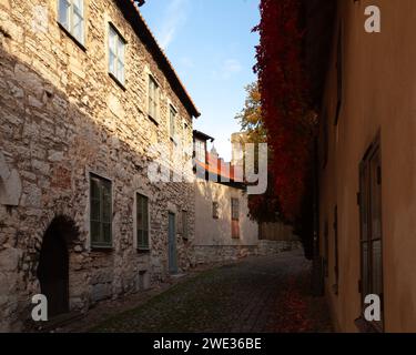 VISBY, SVEZIA, L'11 OTTOBRE 2019. Vista sulla strada dei vecchi edifici. Casa, case e negozi in città. Uso editoriale. Foto Stock