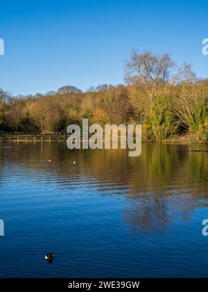 Hampstead Heath Pond NO2, Hampstead Heath, Camden, Londra, Inghilterra, REGNO UNITO, REGNO UNITO. Foto Stock