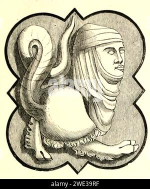 TESTA DI SEPENT - un Manicore, noto anche come manticore, mantichore , mantichora, مردخوار ,mardkhor, merthykhuwar, o sfinge. È venuto in varie forme, tra cui quella di un leone e di creature con una puntura nella coda. Il nome significa mangiatore di uomini. Foto Stock