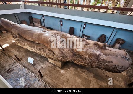Memphis, Egitto - 2 gennaio 2024: Una statua monumentale di Ramses II scolpita in pietra calcarea e lunga circa 10 metri Foto Stock
