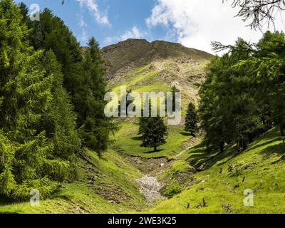 Im Val Trupchun Gemeinde S-chanf am 05.07.2023. Foto Stock