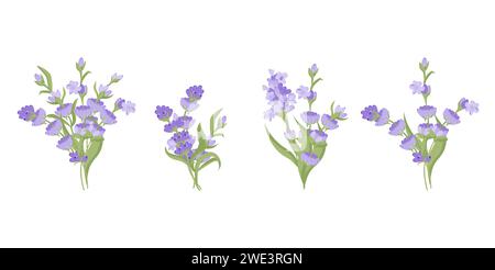Set di mazzi di fiori di lavanda. Illustrazione vettoriale isolata su sfondo bianco. Illustrazione vettoriale Illustrazione Vettoriale