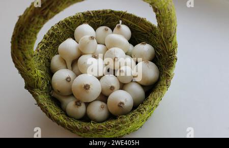 Raccolta stagionale. Cestino in tessuto di cipolla all'interno dell'erba appena raccolto Foto Stock