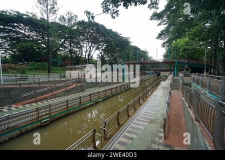 Jaletreng Hutan Kota Serpong, BSD, Tangerang Selatan, Banten, Indonesia Foto Stock