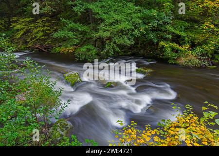 Il fiume Bode scorre attraverso la foresta con colori autunnali/autunnali nella riserva naturale Bode Valley, nelle montagne Harz, Sassonia-Anhalt, Germania Foto Stock