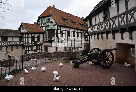 Eisenach, Germania. 23 gennaio 2024. Le colombe bianche si trovano nel cortile interno del castello di Wartburg, patrimonio dell'umanità dell'UNESCO dal dicembre 1999. L'anno scorso, gli allievi della Martin Luther Grammar School di Eisenach hanno prodotto un'audioguida per bambini insieme al team educativo del museo di Wartburg e a Wartburgradio. Gli allievi visitarono il castello diverse volte, allestirono stazioni nei giardini, studiarono contenuti, svilupparono una storia emozionante, produssero suoni e infine registrarono l'audioguida nello studio di Wartburgradio. Credito: Martin Schutt/dpa/Alamy Live News Foto Stock