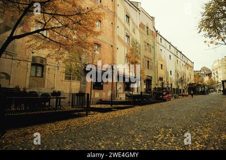 Belgrado, Serbia - 2 dicembre 2023: Una foto diurna del quartiere di Skadarlija a Belgrado, Serbia, con foglie gialle sparse per terra, Foto Stock