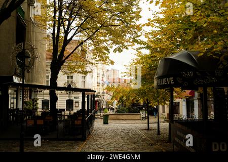 Belgrado, Serbia - 2 dicembre 2023: Una foto diurna del quartiere di Skadarlija a Belgrado, Serbia, con foglie gialle sparse per terra, Foto Stock