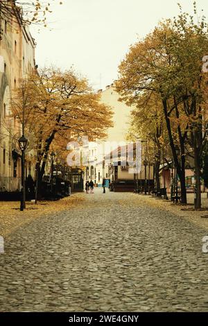 Belgrado, Serbia - 2 dicembre 2023: Una foto diurna del quartiere di Skadarlija a Belgrado, Serbia, con foglie gialle sparse per terra, Foto Stock