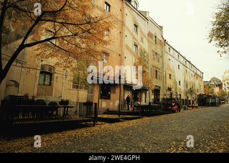 Belgrado, Serbia - 2 dicembre 2023: Una foto diurna del quartiere di Skadarlija a Belgrado, Serbia, con foglie gialle sparse per terra, Foto Stock