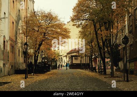 Belgrado, Serbia - 2 dicembre 2023: Una foto diurna del quartiere di Skadarlija a Belgrado, Serbia, con foglie gialle sparse per terra, Foto Stock