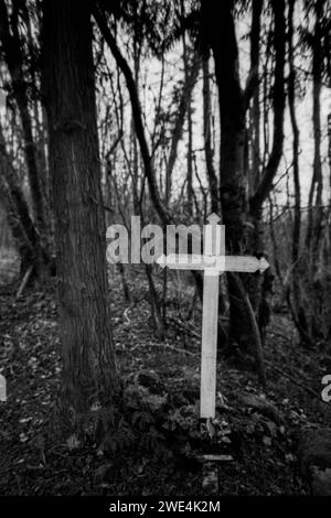 Un viaggio in famiglia nei campi di battaglia della prima Guerra Mondiale, tomba nel bosco, Douaumont, Mosa, regione Grand-Est, Francia dicembre 2000 Foto Stock