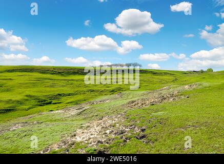 Grande burrone su terreni agricoli. Erosione del suolo. Foto Stock