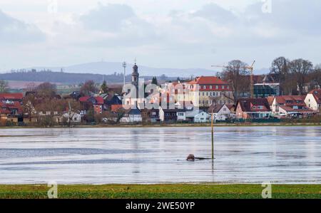 PRODUZIONE - 23 gennaio 2024, Assia, Altenstadt: L'acqua sorge su un prato di fronte al distretto di Höchst. Il Wetterau è uno dei paesaggi alluvionali della regione Reno-meno. I fiumi e le pianure alluvionali di Nidda, Nidder, Seemenbach, Horloff e Wetter contribuiscono in modo importante alla protezione dalle inondazioni. Foto: Andreas Arnold/dpa Foto Stock