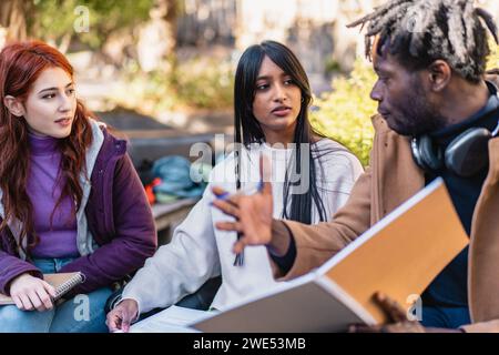 Diversi studenti impegnati in studi di gruppo all'aperto Foto Stock