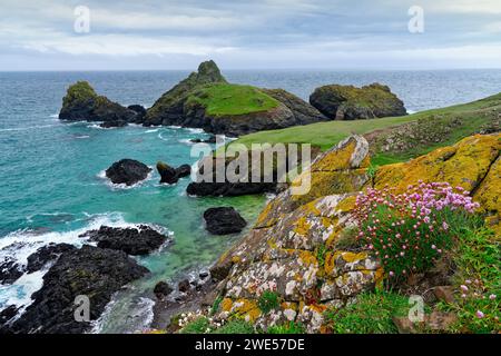 Inghilterra, Cornovaglia, Costa Sud, Penisola di Lizard, Kynance Cove Foto Stock