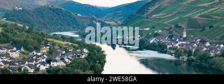 Zell an der Mosel, distretto di Merl Mosel, distretto di Cochem-Zell, Renania-Palatinato, Germania, Europa Foto Stock