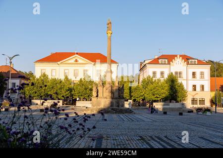 Piazza del mercato di Masarykovo Náměstí con colonna della peste a Stříbro nella Boemia occidentale nella Repubblica Ceca Foto Stock