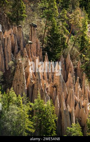 Piramidi di terra, sorgente, Lengmoos, Mittelberg am Ritten, vicino a Bolzano, Dolomiti, alto Adige, Italia Foto Stock