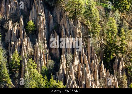 Piramidi di terra, sorgente, Lengmoos, Mittelberg am Ritten, vicino a Bolzano, Dolomiti, alto Adige, Italia Foto Stock