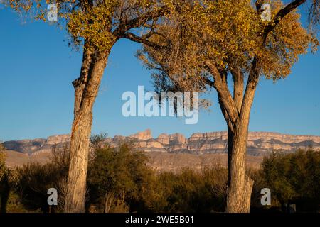 Tramonto, montagne della Sierra del Carmen; campeggio del villaggio di Rio grande. Big Bend National Park, Texas, Stati Uniti. Foto Stock