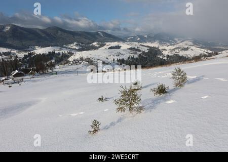 Non esclusiva: REGIONE DI IVANO-FRANKIVSK, UCRAINA - 21 GENNAIO 2024 - Un paesaggio invernale nel villaggio di Zamahora, distretto di Verkhovyna, Ivano-Frankivs Foto Stock