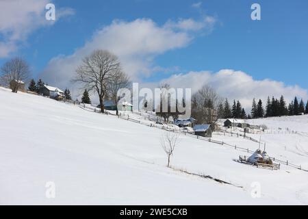 Non esclusiva: REGIONE DI IVANO-FRANKIVSK, UCRAINA - 21 GENNAIO 2024 - Un paesaggio invernale nel villaggio di Zamahora, distretto di Verkhovyna, Ivano-Frankivs Foto Stock