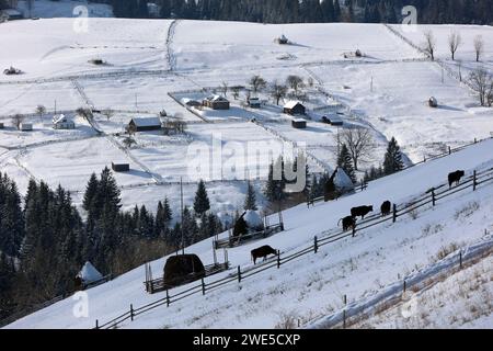 Non esclusiva: REGIONE DI IVANO-FRANKIVSK, UCRAINA - 21 GENNAIO 2024 - Un paesaggio invernale nel villaggio di Zamahora, distretto di Verkhovyna, Ivano-Frankivs Foto Stock