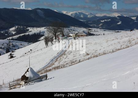 Non esclusiva: REGIONE DI IVANO-FRANKIVSK, UCRAINA - 21 GENNAIO 2024 - Un paesaggio invernale nel villaggio di Zamahora, distretto di Verkhovyna, Ivano-Frankivs Foto Stock