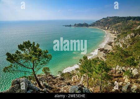 Vista della spiaggia sulla penisola di Crozon, vicino a Morgat, GR 34, Zöllnerweg, Sentier Côtier, penisola di Crozon, costa atlantica, Bretagna, Francia Foto Stock