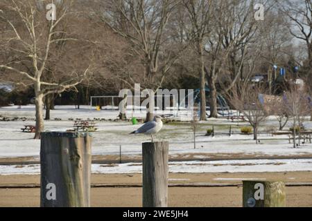 Steppingstones Park & Lighthouse, New York Foto Stock