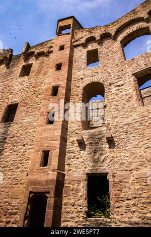 Ammira l'interno del castello di Henneburg nella regione di Spessart-Mainland, Stadtprozelten, Franconia, Baviera, Germania Foto Stock