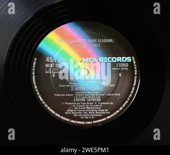 Foto ravvicinata di un'etichetta centrale su un'edizione originale del 1974 del disco in vinile LP Free Bird Sweet Home Alabama Double Trouble dei Lynyrd Skynyrd Foto Stock