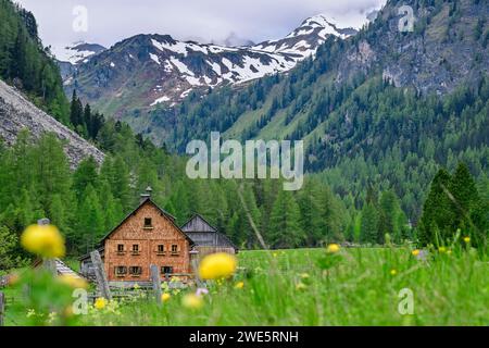 Gruberalm con pannelli di legno e Riedingtal, Riedingtal, Lungau, Niedere Tauern, Salisburgo, Austria Foto Stock