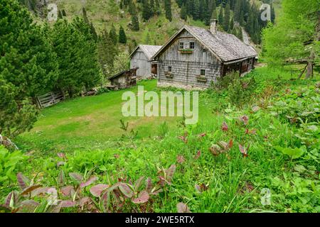 Königalm rivestite in legno con Riedingtal, Riedingtal, Lungau, Niedere Tauern, Salisburgo, Austria Foto Stock