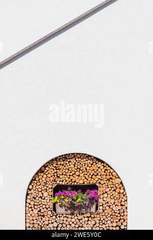 Fornitura di legno per camino, vasi di fiori, Truden, alto Adige, Italia Foto Stock