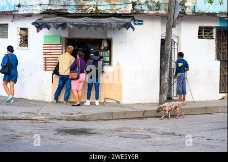 I cubani comprano cibo da una caffetteria privata situata in una casa. Un cane malato vagante cammina nella zona. Foto Stock