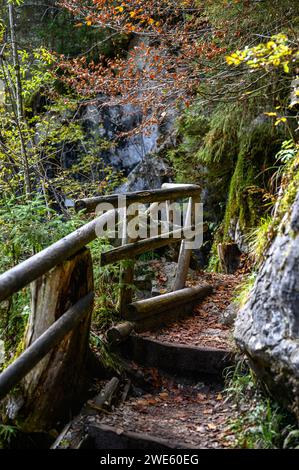 Sentiero naturalistico lungo il torrente/fiume Ramsauer Ache, trekking nella foresta magica di Hintersee nel villaggio alpinista di Ramsau. Ramsau nea Foto Stock