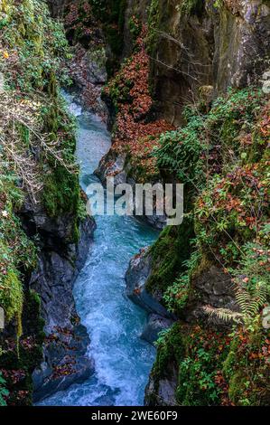 Sentiero naturalistico lungo il torrente/fiume Ramsauer Ache, trekking nella foresta magica di Hintersee nel villaggio alpinista di Ramsau. Ramsau nea Foto Stock