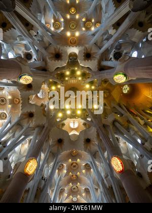 Le forme organiche delle colonne e del soffitto della Cattedrale della Sagrada Familia Foto Stock