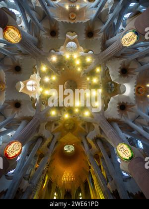 Guardando verso l'alto il soffitto della basilica della Sagrada Familia forme organiche Foto Stock