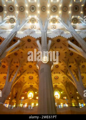 Guardando verso l'alto le colonne e le forme organiche del soffitto della basilica della Sagrada Familia Foto Stock