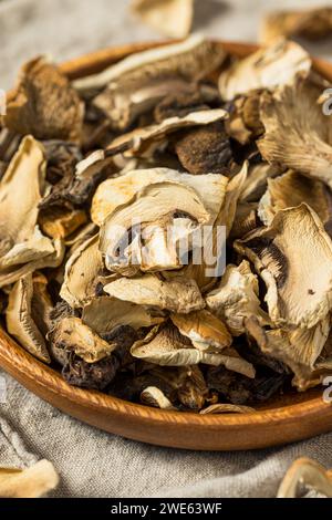 Funghi biologici crudi essiccati in una ciotola Foto Stock