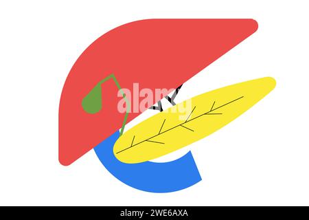 Concetto di anatomia del fegato umano e del pancreas in stile patchwork geometrico. Composizione grafica per pubblicità, banner, design di imballaggi. Illustrazione Vettoriale