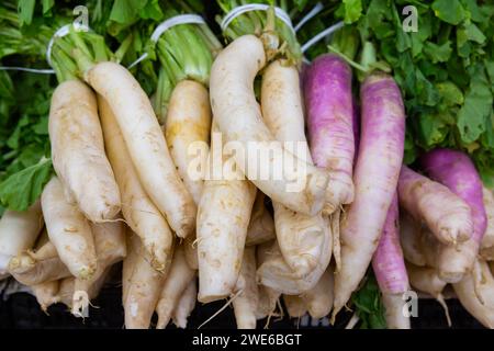 Rafano bianco esposto per la vendita al gregrocery Foto Stock