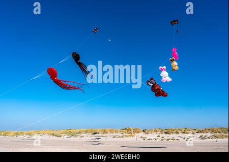 Germania, Schleswig-Holstein, St. Peter-Ording, aquiloni a forma di animale che volano contro il cielo blu Foto Stock