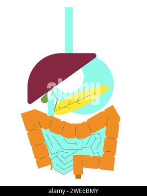 Concetto di sistema digestivo umano costruito da forme astratte. Illustrazione in stile geometrico piatto per sfondo, packaging, annunci. Illustrazione Vettoriale