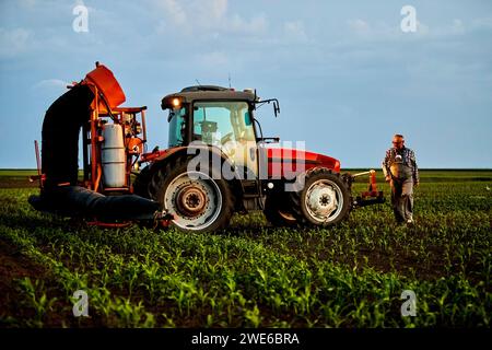 Coltivatore che cammina ed esamina i prodotti vicino al trattore in un campo di mais Foto Stock